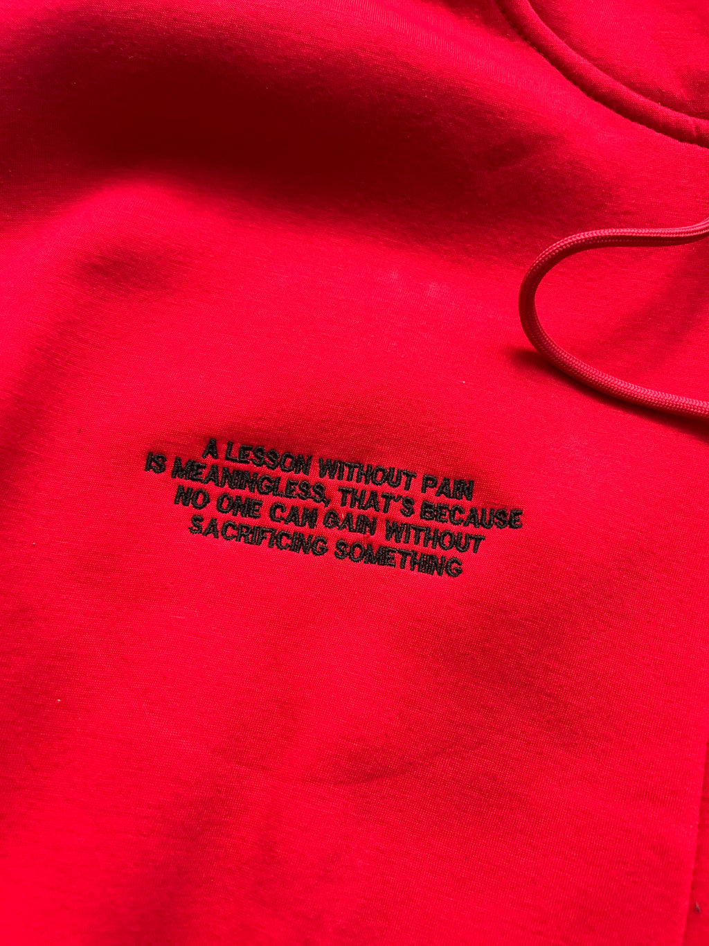 Full Metal Alchemist distressed zipped hoodie
